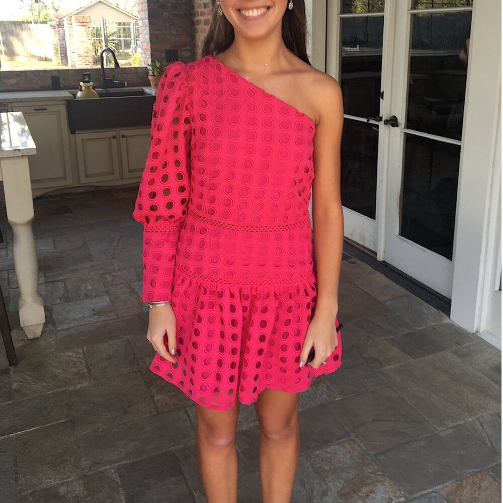 Lovers + Friends Isadora Mini Dress Size small